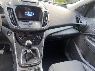 Ford Kuga 1.5 EcoBoost Trend Ultimate picture 19