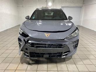 Cupra Terramar VZ e-Hybrid HUD/360/AHK/NAVI picture 6