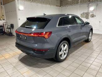  Audi Q8 e-tron 55 quattro advanced HUD/AHK/KAM/NAVI 2024/6