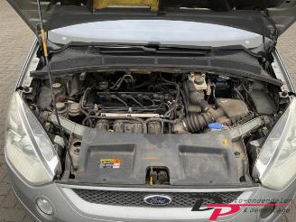 Ford S-Max S-Max (GBW), MPV, 2006 / 2014 2.0 16V picture 1