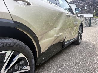MG MG S6 EV Luxury 4WD 77 kWh 362PK SPLINTER NIEUW picture 17