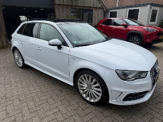 uszkodzony samochody osobowe Audi A3 1.4 E-tron PHEV PANO LEER NL AUTO 2014/11