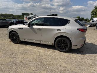 Mazda CX-60 2.5 PHEV  Homura AWD picture 18