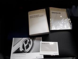 Hyundai Santa Fe Santa Fe V (MX5), SUV, 2024 1.6 T-GDI PHEV 4WD picture 27