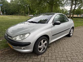 skadebil auto Peugeot 206  2002/1