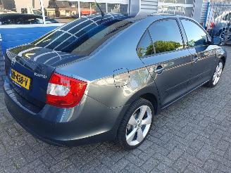 Skoda Rapid 1.2 TSI Greentech Elegance Businessline picture 5