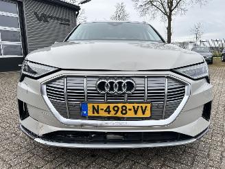 Audi E-tron 55 Quattro Advanced 95 kWh picture 39
