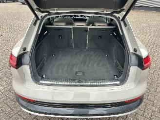 Audi E-tron 55 Quattro Advanced 95 kWh picture 13
