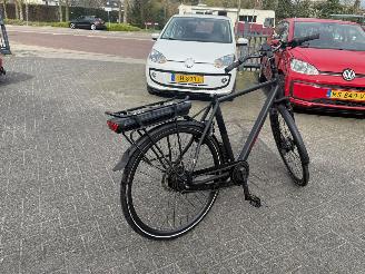 Stella  VINCENZA picture 5