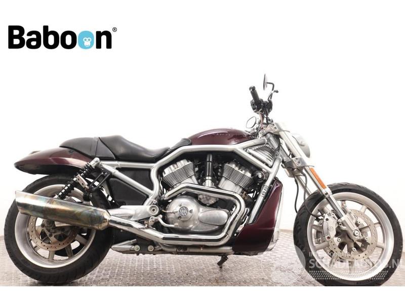 Harley-Davidson  VRSCR Street Rod