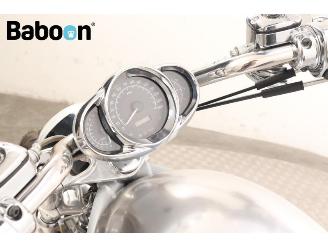 Harley-Davidson  VRSCA V-Rod picture 23