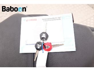 Yamaha MT-09 ABS picture 24