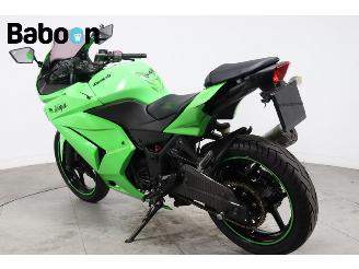 Kawasaki Ninja 250 R  picture 4
