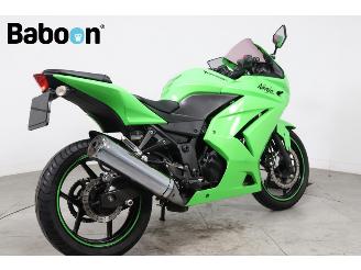 Kawasaki Ninja 250 R  picture 2