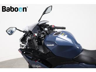 Kawasaki Ninja 500 SE  picture 19