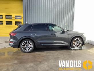 Schadeauto Audi E-tron e-tron (GEN), SUV, 2018 / 2023 55 quattro 2023/1