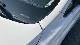 Volkswagen Caddy MODIFIED PARTITION WALL picture 6