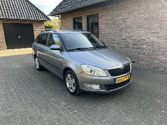 Coche accidentado Skoda Fabia 1.2 TSI FRESH AIRCO 2013/5