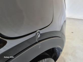 Fiat 600 1.2 Hybrid Urban picture 20