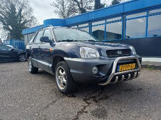 Hyundai Santa Fe 2.0i-16V Dyn. Motion picture 1