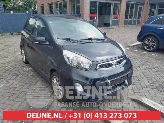 škoda osobní automobily Kia Picanto Picanto (TA), Hatchback, 2011 / 2017 1.2 16V 2012/3