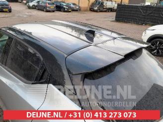 Nissan Juke Juke (F16), SUV, 2019 1.0 DIG-T 12V picture 10