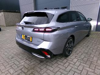 Peugeot 308 SW 1.6 PLUG-IN HYBRID / NAVI / CAMERA / CRUISE picture 25