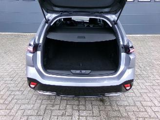 Peugeot 308 SW 1.6 PLUG-IN HYBRID / NAVI / CAMERA / CRUISE picture 23