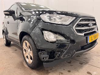 Ford EcoSport 1.0 EcoBoost Trend Navi Clima picture 19