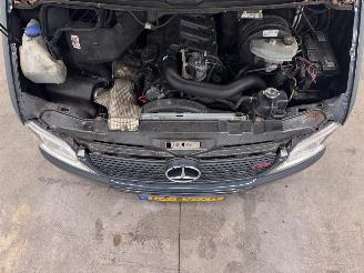 Mercedes Sprinter 311 CDI Horsetruck picture 18