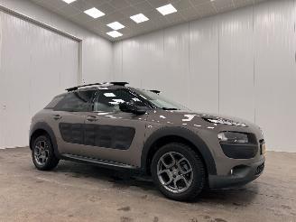 Citroën C4 cactus 1.2 PureTech Shine Navi Clima picture 1