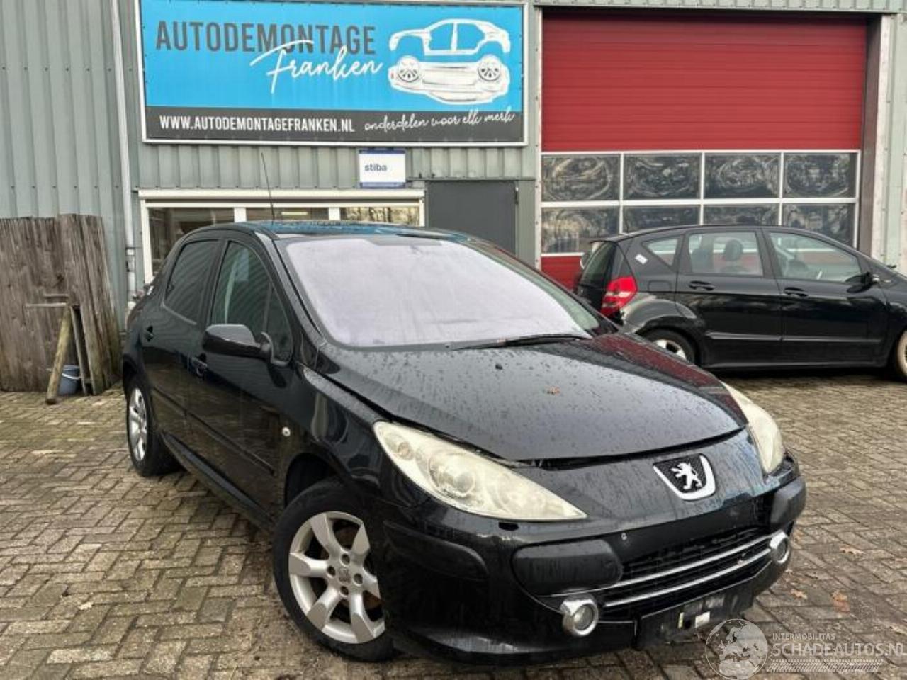 Peugeot 307 307 (3A/C/D), Hatchback, 2000 / 2009 2.0 16V