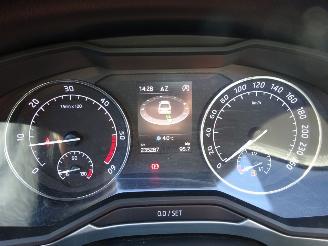 Skoda Superb 2.0 TDI Ambition Business, Panorama, Navi, DAB+, Climate & Cruise picture 17