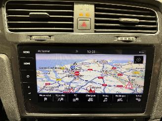 Volkswagen e-Golf 36kWh 100kW Camera Matrixled picture 25