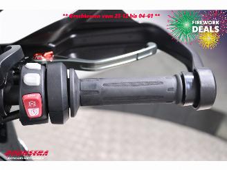 BMW S 1000 XR Dynamic Touring Cruise Heizgriffe picture 21