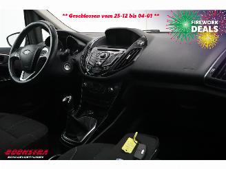 Ford B-Max 1.0 EcoBoost Titanium Navi Clima Cruise Camera PDC 139.571 km! picture 8