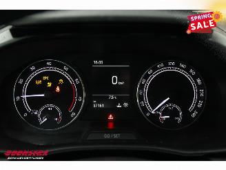 Skoda Fabia 1.0 TSI Ambition Bluetooth Airco Cruise PDC picture 21