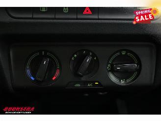 Skoda Fabia Combi 1.0 TSI Business Edition Navi Airco Cruise PDC AHK picture 28