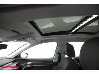 Audi E-tron 55 quattro advanced 95 kWh LED Virtual Cruise PDC picture 20