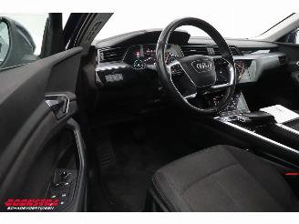 Audi E-tron 55 quattro advanced 95 kWh LED Virtual Cruise PDC picture 19