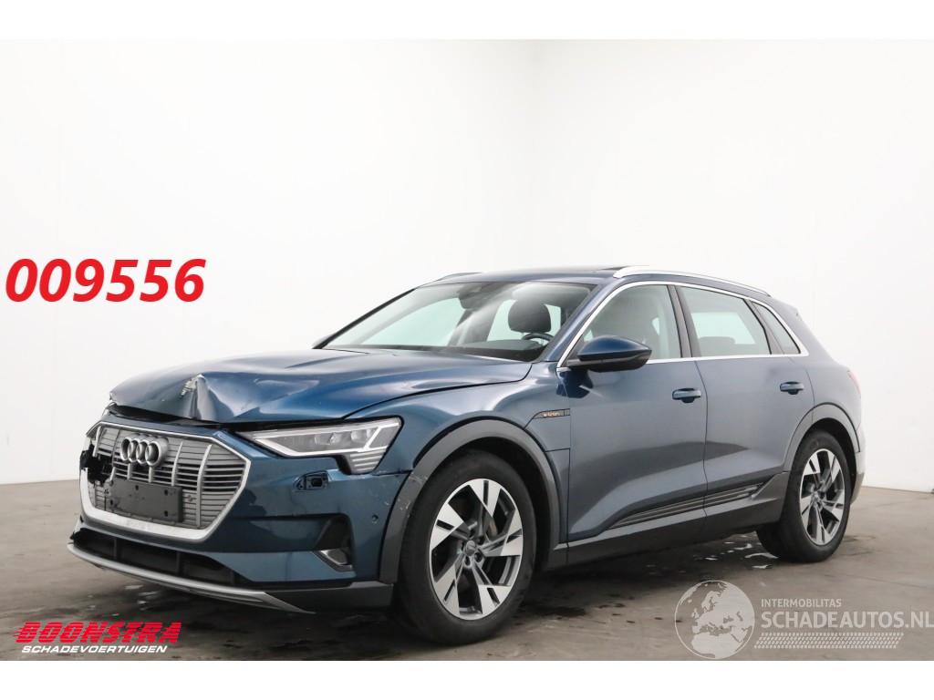 Audi E-tron 55 quattro advanced 95 kWh LED Virtual Cruise PDC