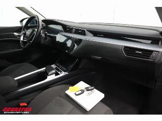 Audi E-tron 55 quattro advanced 95 kWh LED Virtual Cruise PDC picture 14