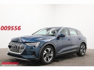 damaged passenger cars Audi E-tron 55 quattro advanced 95 kWh LED Virtual Cruise PDC 2019/12