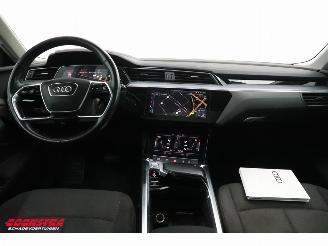 Audi E-tron 55 quattro advanced 95 kWh LED Virtual Cruise PDC picture 15