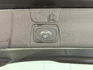 Ford C-Max 2.0 Plug-in Hybrid Titanium Plus Aut. picture 16
