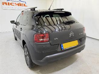 Citroën C4 cactus 1.6 Blue HDI 100 Shine Pano/Navi picture 37