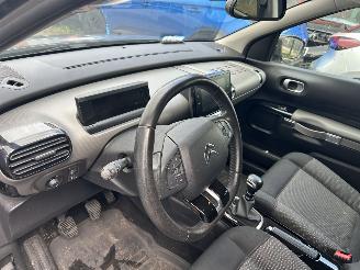 Citroën C4 cactus 1.2 PureTech Origins picture 15