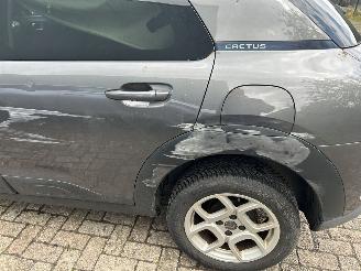 Citroën C4 cactus 1.2 PureTech Origins picture 8