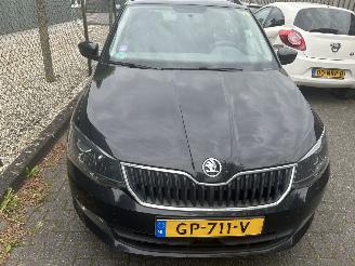 Skoda Fabia Stationcar 1.2  TSI  Ambition picture 2