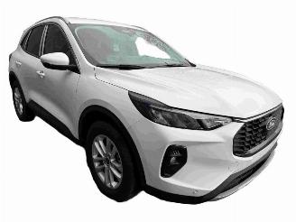 Ford Kuga Titanium picture 1